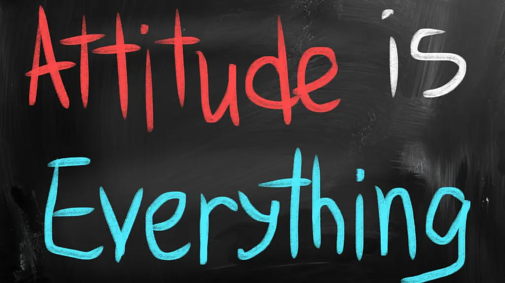 Attitude Status in Hindi